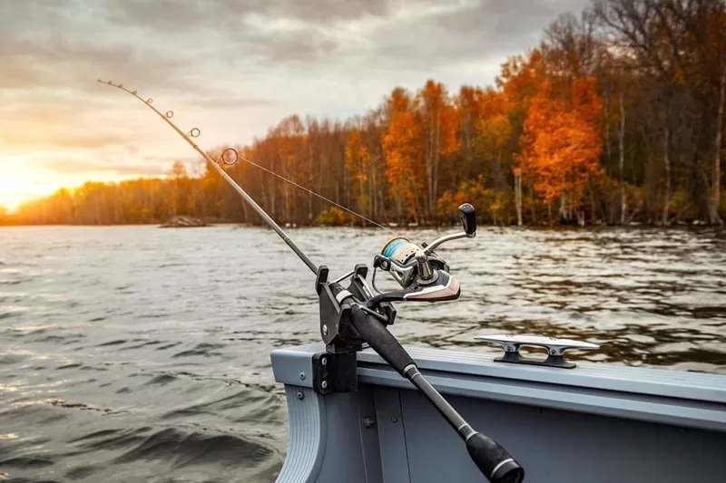 Top 10 Scary River Fish